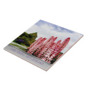 Carreau Lupins roses @ Lac Tekapo Nouvelle-Zélande (Côté)