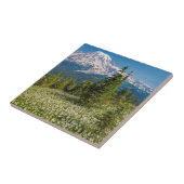 Carreau Lys avalanches et Mont Rainier (Côté)