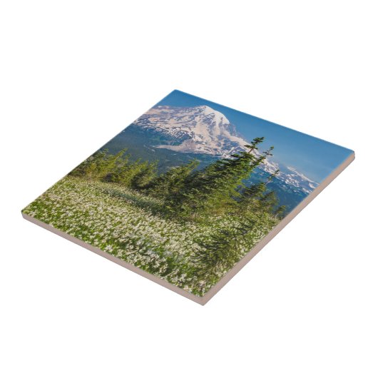 Carreau Lys avalanches et Mont Rainier (Côté)