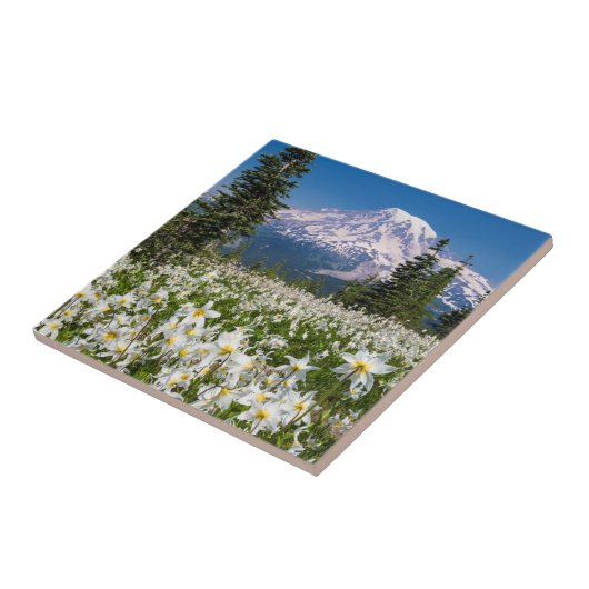 Carreau Lys avalanches et Mont Rainier 2 (Côté)