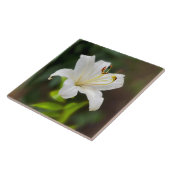 Carreau Lys blanc crépusculaire (Côté)