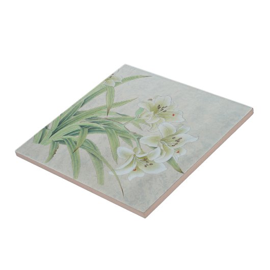 Carreau Lys blancs (Côté)