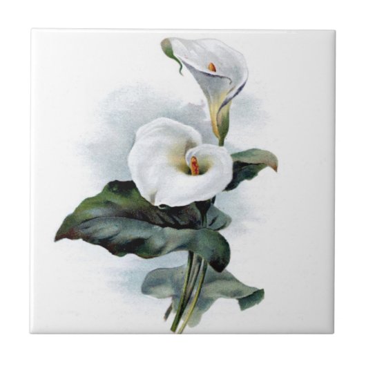 Carreau Lys calla vintage (Devant)