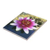 Carreau Lys d'eau (Côté)