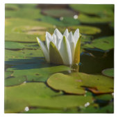 Carreau Lys d'eau (Devant)