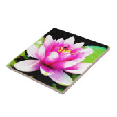 Carreau Lys d'eau rose (Côté)