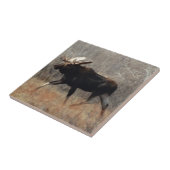 Carreau M10 Bull moose (Côté)