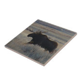 Carreau M2 Orignal Gros taureau (Côté)