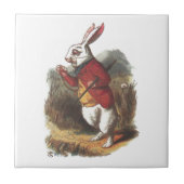 Carreau M. Rabbit ! (Devant)