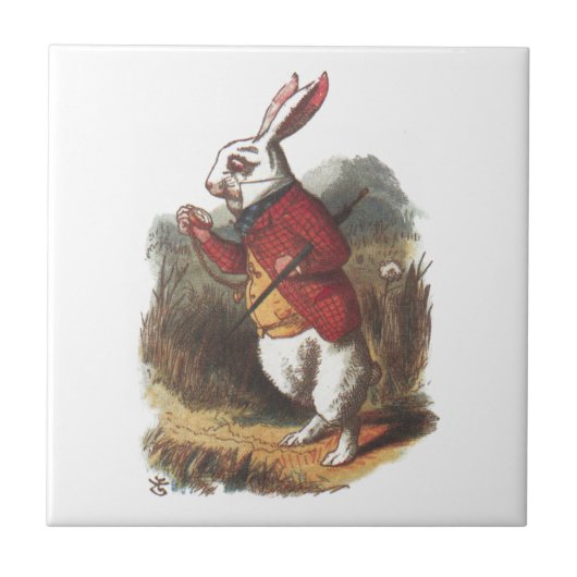 Carreau M. Rabbit ! (Devant)