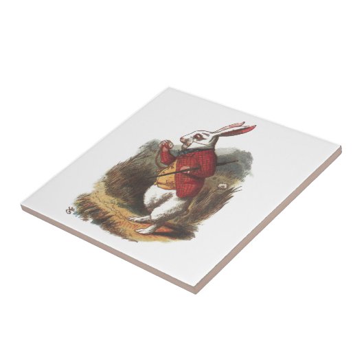 Carreau M. Rabbit ! (Côté)