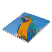Carreau Macao bleu et jaune (Côté)