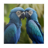 Carreau Macaw bleu (Devant)
