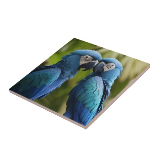 Carreau Macaw bleu (Côté)