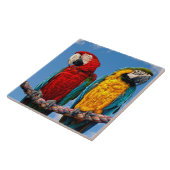 Carreau Macaw bleu et jaune et macaw Scarlet (Côté)