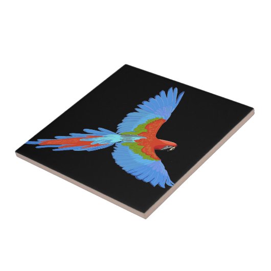 Carreau Macaw volant bleu et rouge (Côté)