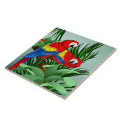 Carreau Macaws (Côté)