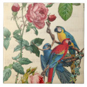 Carreau Macaws vintages Et Roses (Devant)