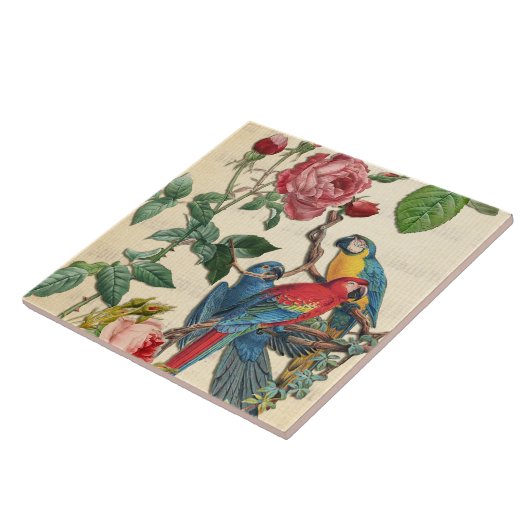 Carreau Macaws vintages Et Roses (Côté)