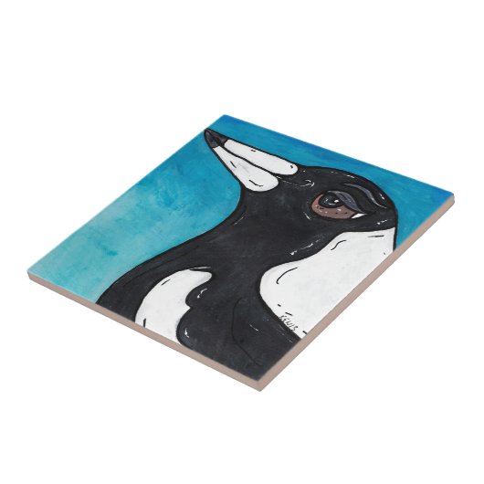 Carreau Macca la pie (Côté)