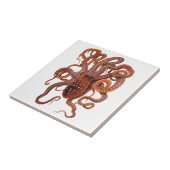 Carreau Macropus de pieuvre vintage, Animaux aquatiques ma (Côté)