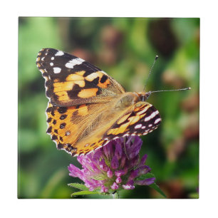 Carreau Madame peinte Butterfly Ceramic Photo Tile