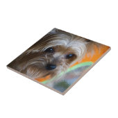 Carreau Madame Yorkshire Terrier (Côté)