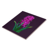 Carreau Magenta Hyacinth (Côté)