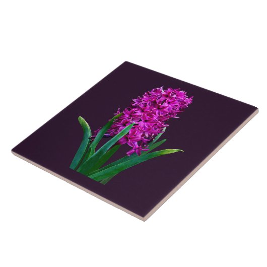 Carreau Magenta Hyacinth (Côté)