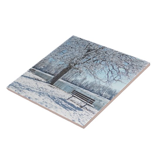 CARREAU MAGIE D'HIVER/PARC COUVERT DE NEIGE (Côté)