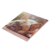 Carreau Magnifique bulldog français allongé (Côté)