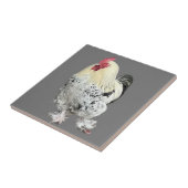 Carreau Magnifique Cockerel No 2 (Côté)