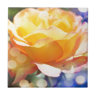 Carreau Magnifique fleur de rose jaune. Photographie flora