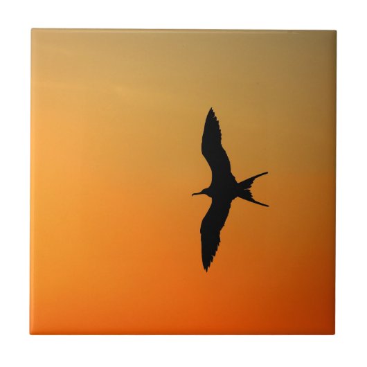 Carreau Magnifique frégate oiseau volant coucher de soleil (Devant)