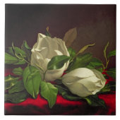 Carreau Magnolia (Devant)