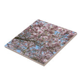 Carreau Magnolia en avril (Côté)