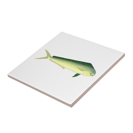 Carreau Mahi Mahi (Côté)