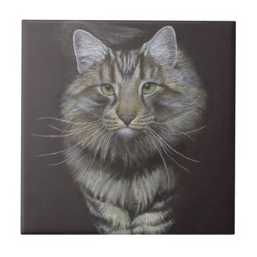 Carreau Maine Coon (Devant)
