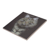 Carreau Maine Coon (Côté)