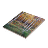 Carreau Maine, Parc national de l'Acadia, automne (Côté)