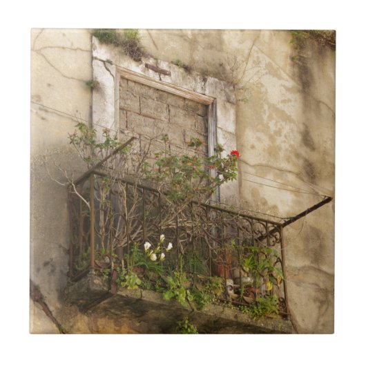 Carreau Maison ancienne abandonnée (Devant)