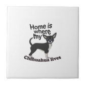 Carreau Maison Chihuahua (Devant)