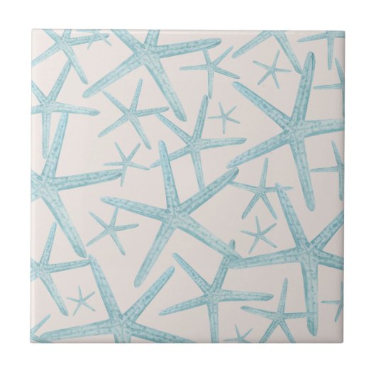 Carreau Maison de plage de Starfish (Devant)