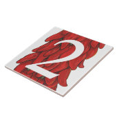 Carreau Maison de poivron rouge du sud-ouest Numéro 2 Deux (Côté)