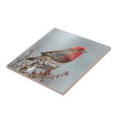 Carreau Maison Finch en Neige - Photo originale (Côté)