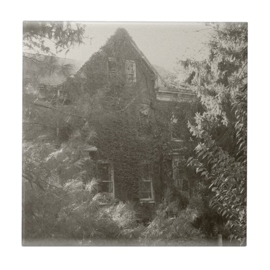 Carreau Maison hantée ! (Devant)
