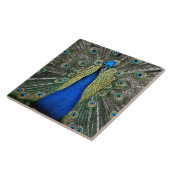 Carreau Majestic Peacock (Côté)