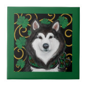 Carreau Malamute d'Alaska (Devant)