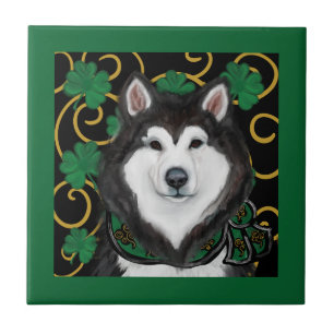 Carreau Malamute d'Alaska