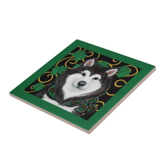 Carreau Malamute d'Alaska (Côté)